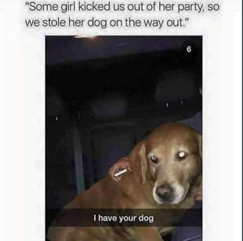 saturday night with my dog meme - "Some girl kicked us out of her party, so we stole her dog on the way out." I have your dog