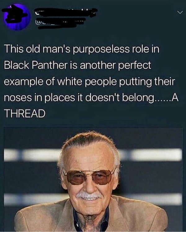 stan lee marvel - This old man's purposeless role in Black Panther is another perfect example of white people putting their noses in places it doesn't belong......A Thread