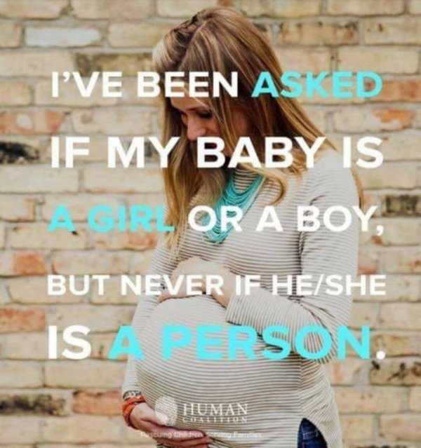 think im pregnant meme - I I'Ve Been Asked If My Baby Is Or A Boy, But Never If Heishe Is. Son Pescuing Chem om