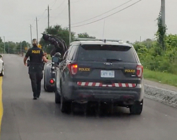 He noticed a police vehicle at the stop light