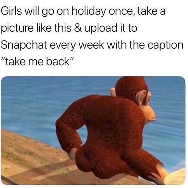 donkey kong take me back meme - Girls will go on holiday once, take a picture this & upload it to Snapchat every week with the caption "take me back"