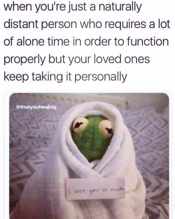 introvert meme - when you're just a naturally distant person who requires a lot of alone time in order to function properly but your loved ones keep taking it personally Il love you so much