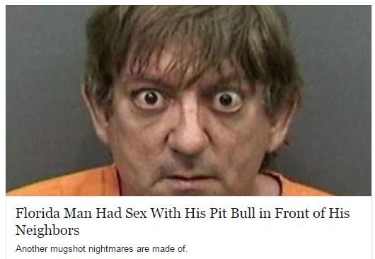 bernard marsonek - Florida Man Had Sex With His Pit Bull in Front of His Neighbors Another mugshot nightmares are made of.