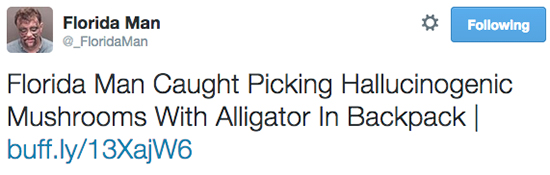 organization - Florida Man ing Florida Man Caught Picking Hallucinogenic Mushrooms With Alligator In Backpack | buff.ly13Xajw6