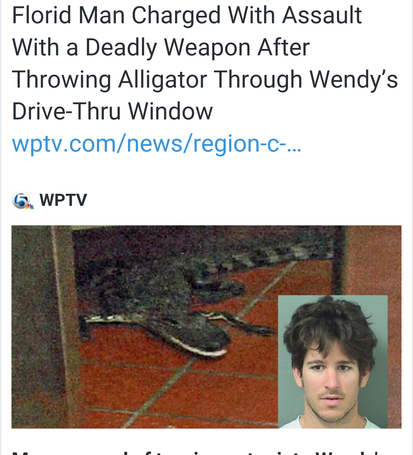 florida man headlines - Florid Man Charged With Assault With a Deadly Weapon After Throwing Alligator Through Wendy's DriveThru Window wptv.comnewsregionc... 6. Wptv