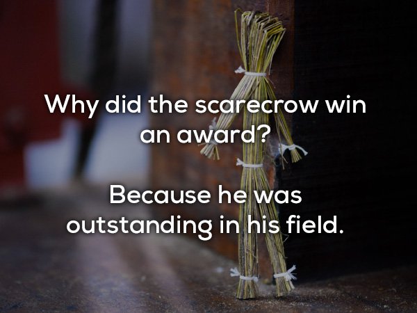dad jokes - photo caption - Why did the scarecrow win an award? Because he was outstanding in his field.