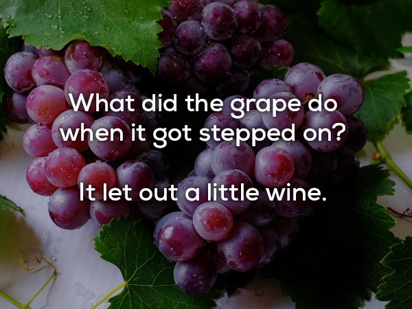 dad jokes - grapes fruit - What did the grape do when it got stepped on? It let out a little wine.