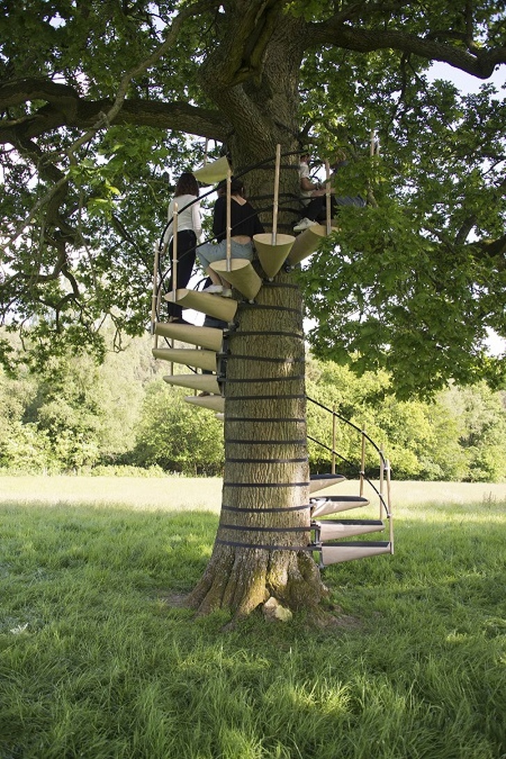 The perfect gift for climbers — tree stairs