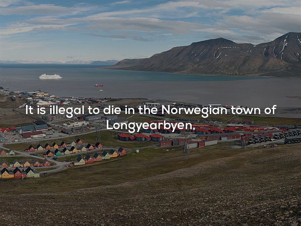 port of longyearbyen - It is illegal to die in the Norwegian town of Longyearbyen,