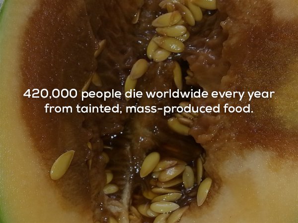 Melon - 420,000 people die worldwide every year from tainted, massproduced food.