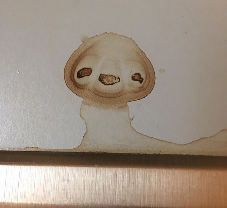 This coffee stain looks like a sloth.
