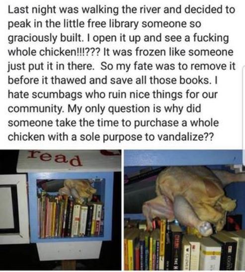 media - Last night was walking the river and decided to peak in the little free library someone so graciously built. I open it up and see a fucking whole chicken!!!??? It was frozen someone just put it in there. So my fate was to remove it before it thawe