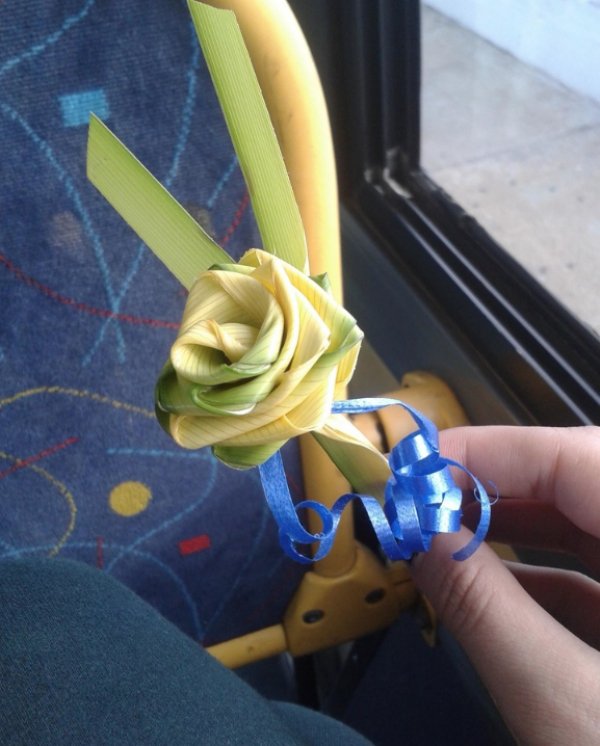 “A nice old gentleman on the bus gave me this flower made out of palm tree leaves.”