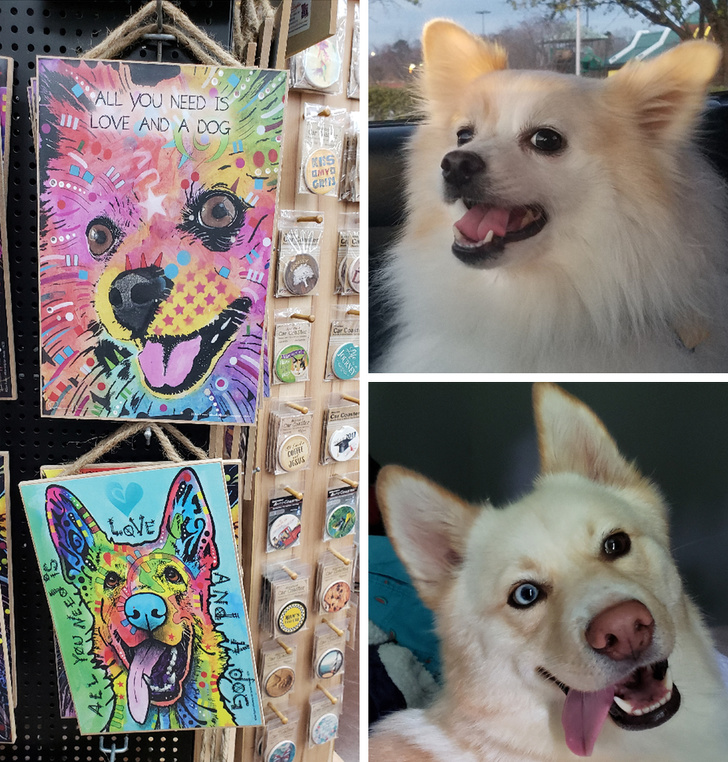 “These pictures at a gas station that look like our dogs”