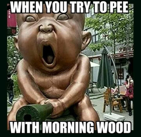 morning woody meme - When You Try To Pee Ig sweatherhe Stomir With Morning Wood