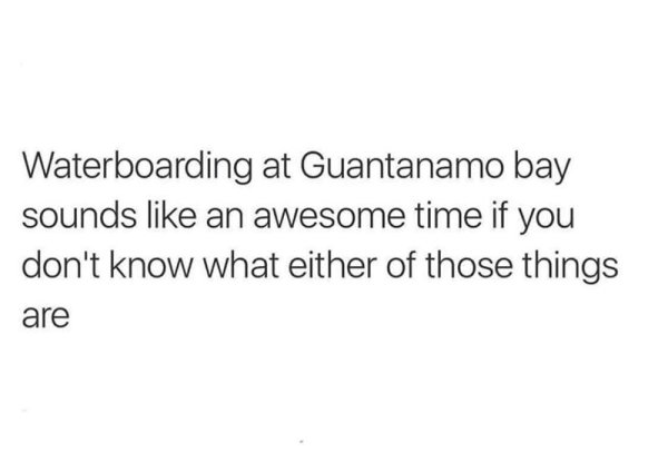 Waterboarding at Guantanamo bay sounds an awesome time if you don't know what either of those things are