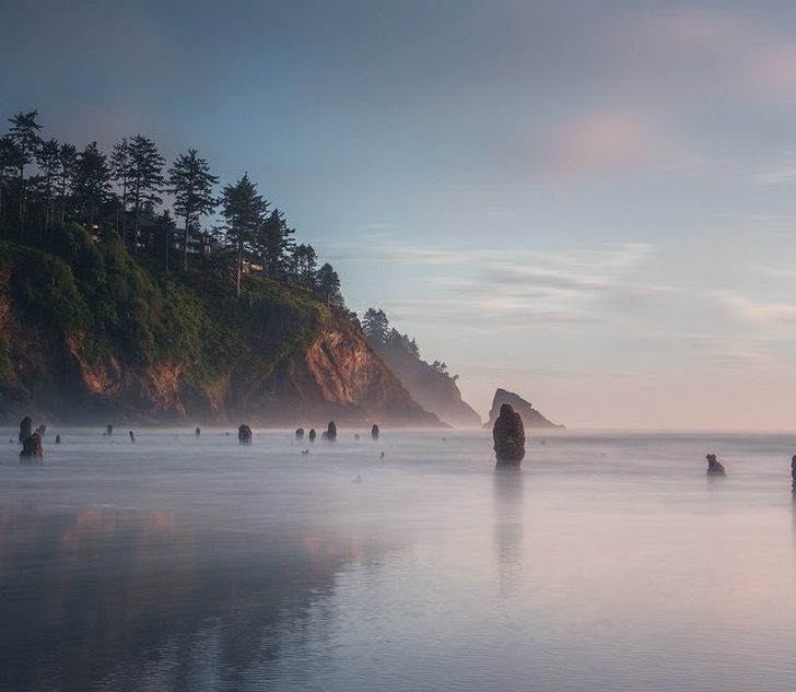 Neskowin Ghost Forest in Oregon