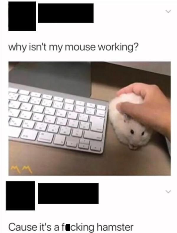isn t my mouse working meme - why isn't my mouse working? Cause it's a ficking hamster