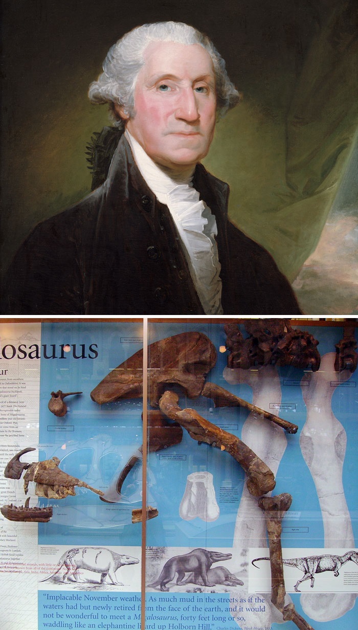george washington - osaurus ir Tu tary Mind while to the Ind. "Implacable November weath. As much mud in the streets as if the waters had but newly retired fom the face of the earth, and it would not be wonderful to meet a M galosaurus, forty feet long or