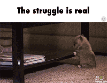 26 times the struggle was real