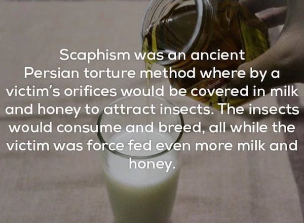 One Bloody Thing After Another: The Worlds Gruesome History - Scaphism was an ancient Persian torture method where by a victim's orifices would be covered in milk and honey to attract insects. The insects would consume and breed, all while the victim was 