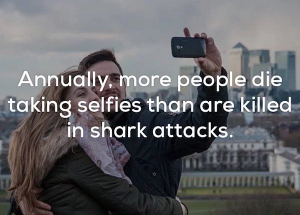 photo caption - Annually, more people die taking selfies than are killed taking seen attacks in shark attacks.