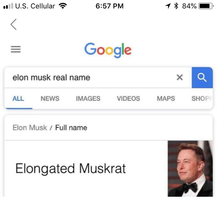 Google search for elon musk's real name with the result 'Elongated Muskrat'