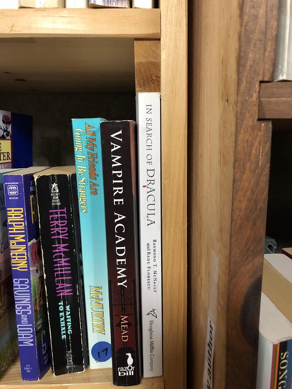 satisfying pic shelf - Song In Search Of Drac Ula Raymond T. Mcnally and Radu Florescu Houghton Mifflin Company Vampire Academy Mead All My hands Are Mmurtrye Going To Be Strangers DdvMet Tekkt Waiting To Exhale Oi Ralph Mjnerny Savingsonloam