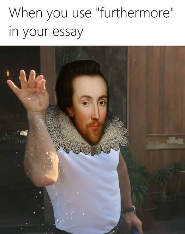 salt bae meme - When you use "furthermore" in your essay