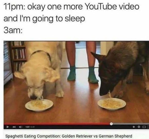 11pm just one more youtube video meme - 11pm okay one more YouTube video and I'm going to sleep 3am 157201 Spaghetti Eating Competition Golden Retriever vs German Shepherd