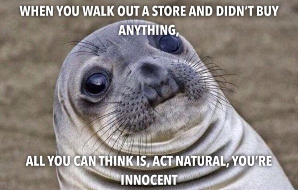 seal funny - When You Walk Out A Store And Didn'T Buy Anything All You Can Think Is, Act Natural, You'Re Innocent
