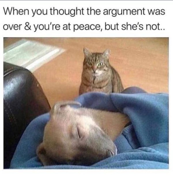 you think the argument is over meme - When you thought the argument was over & you're at peace, but she's not..