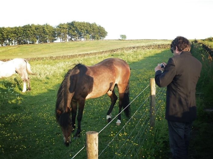 My Friend Took A Picture Of Me. My Shadow Has Horses Legs