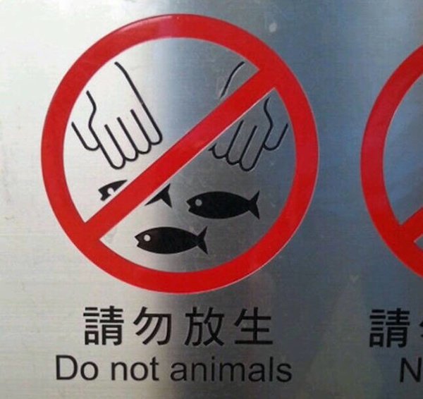 26 massive translation fails