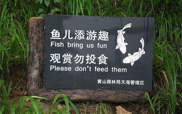 26 massive translation fails