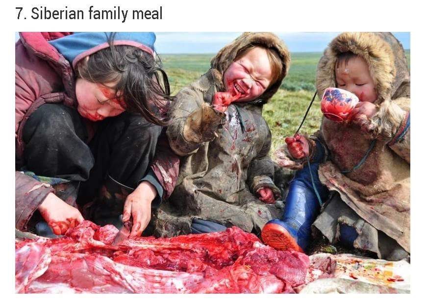 inuit eating raw meat - 7. Siberian family meal