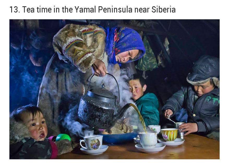 sergey anisimov photographer - 13. Tea time in the Yamal Peninsula near Siberia