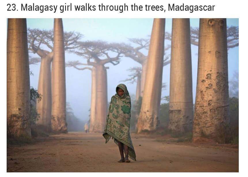 avenue of the baobabs - 23. Malagasy girl walks through the trees, Madagascar
