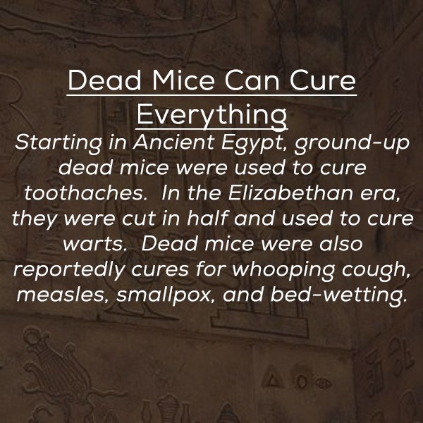 20 Ancient Medical Practices That'll Make You Glad To Live in the Present
