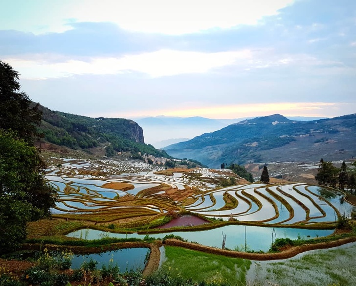 Yuanyang Rice Terraces, China.