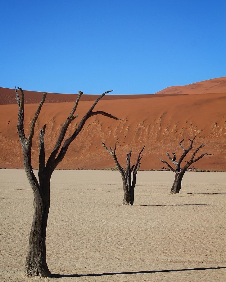 The perfect desert of Dead Vlei, Namibia.