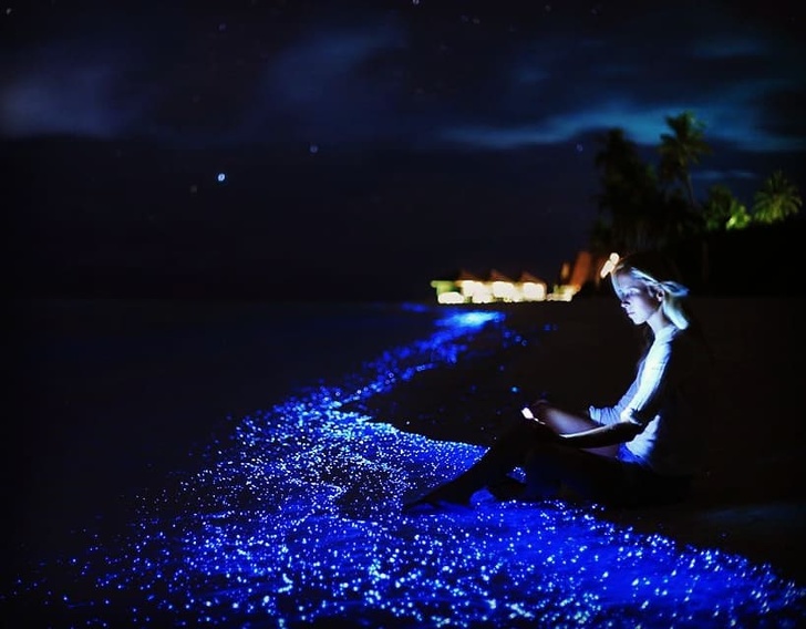 Vaadhoo Island in the Maldives is surrounded by a ’sea of stars’ that glows thanks to a certain type of phytoplankton.