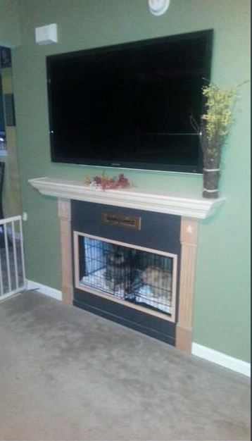 Dog kennel looks like a fireplace...