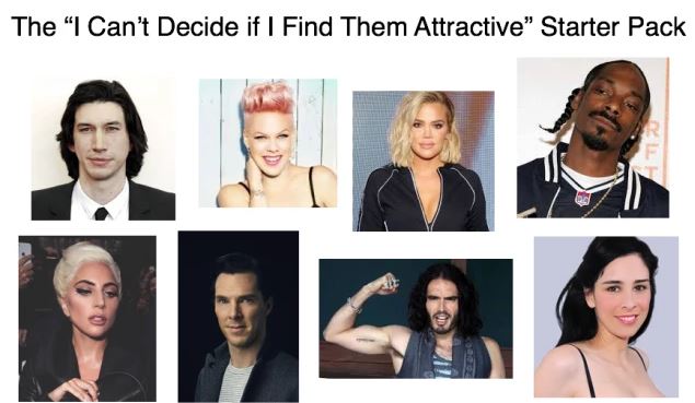 starter packs - hair coloring - The I Can't Decide if I Find Them Attractive Starter Pack