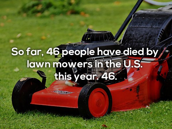 So far, 46 people have died by lawn mowers in the U.S. this year. 46.