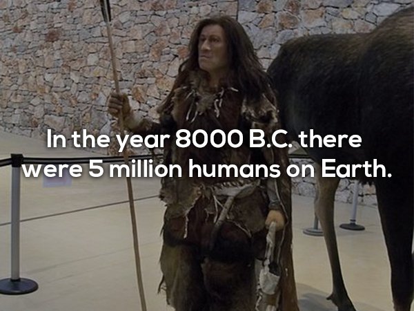 homo sapiens clothes - In the year 8000 B.C. there were 5 million humans on Earth.