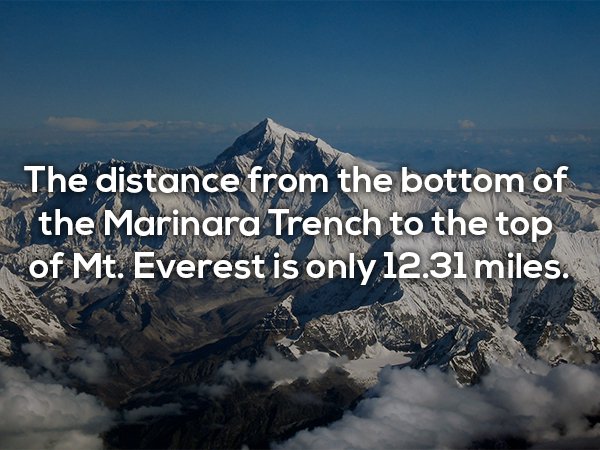 everest - The distance from the bottom of the Marinara Trench to the top of Mt. Everest is only 12.31 miles.