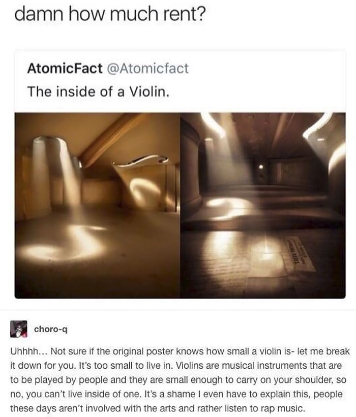 missed - inside of the violin - damn how much rent? Atomic Fact The inside of a Violin. choroq Uhhhh... Not sure if the original poster knows how small a violin is let me break it down for you. It's too small to live in. Violins are musical instruments th