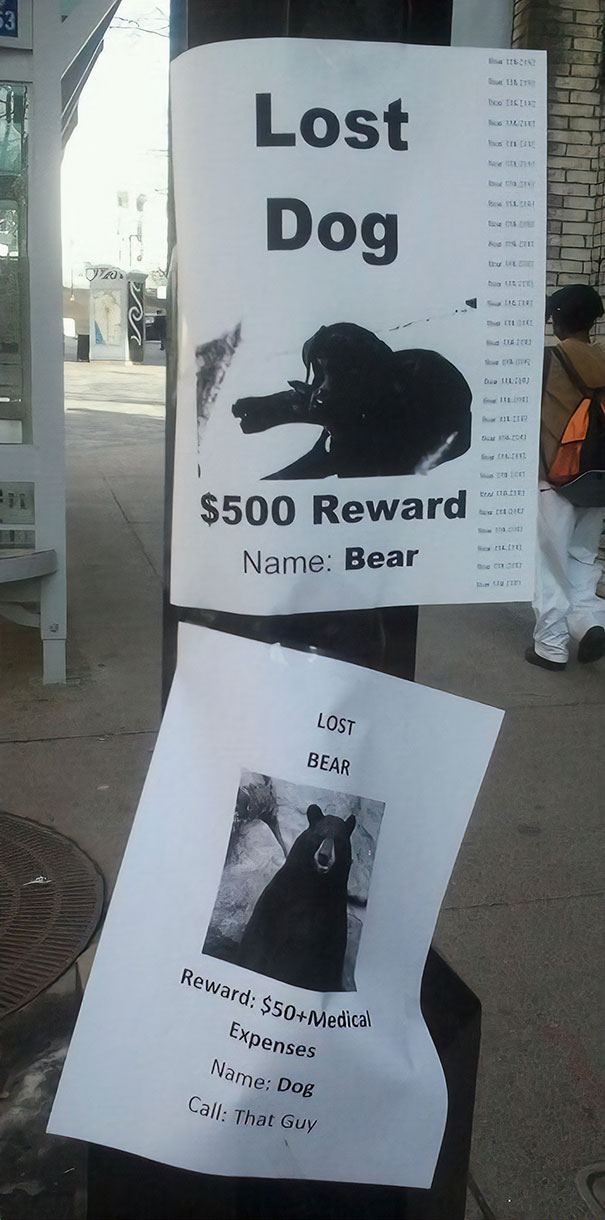 hilarious responses to public notices - 53 Co Til htu Lost Dog B2 thu H& 3 Dit Ili Ou tre Tou $500 Reward Name Bear Lost Bear Reward $50 Medical Expenses Name Dog Call That Guy