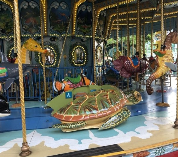 carousel sea turtle